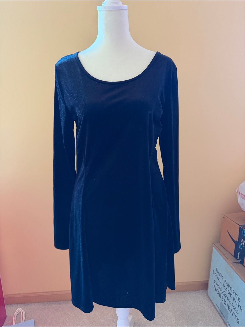 Black Long-Sleeve Velvet Dress